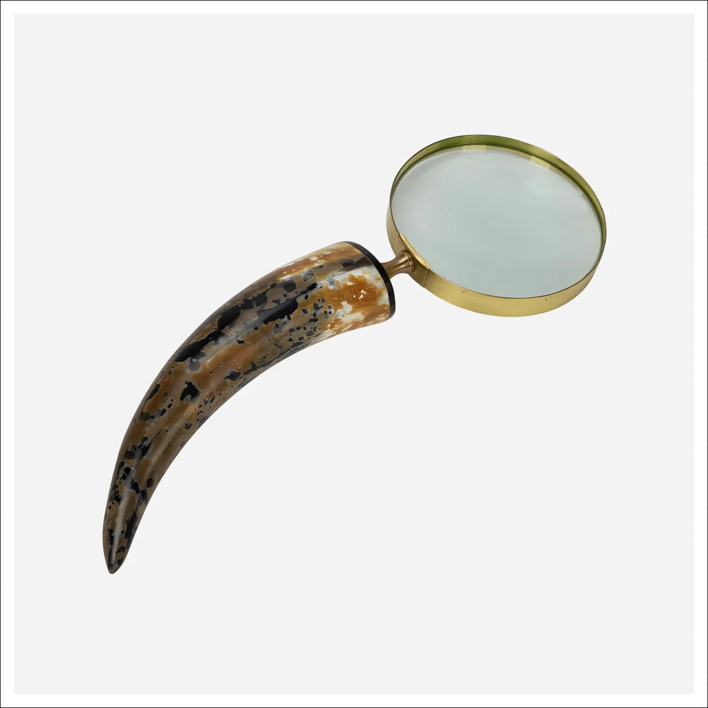 ABBOTT MAGNIFYING GLASS